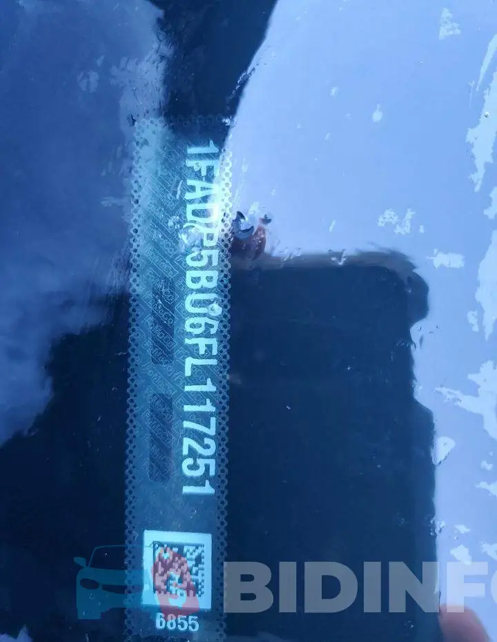1FADP5BU6FL117251 Photo# 12