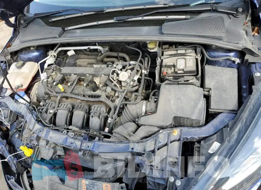 1FADP3K20GL388519 Photo# 7