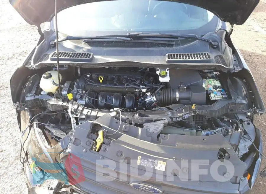 1FMCU0F79HUD66528 Photo# 12