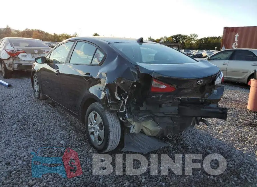 KNAFK4A67G5591324 Photo# 3