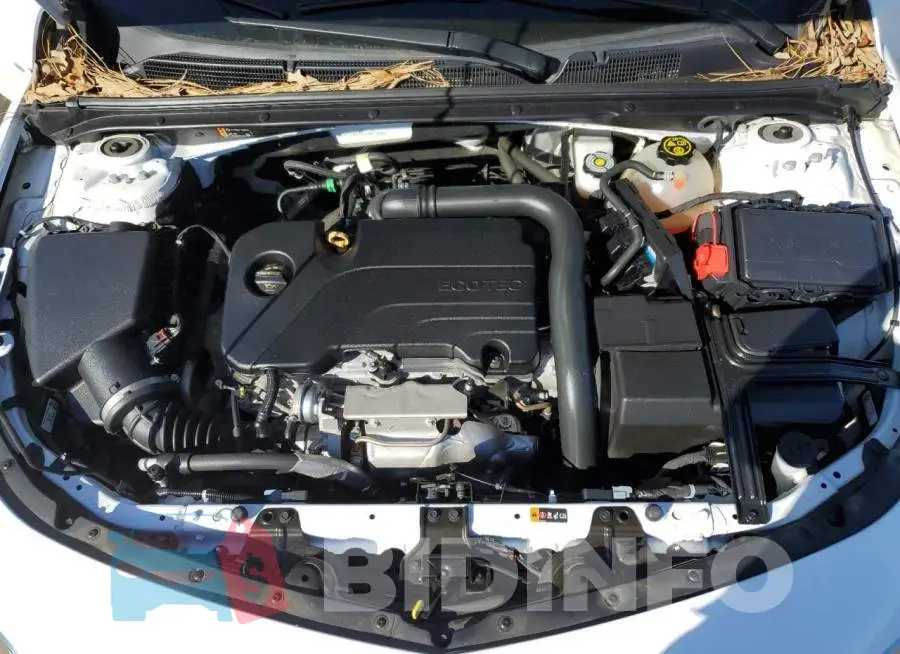 1G1ZD5ST7LF009708 Photo# 11