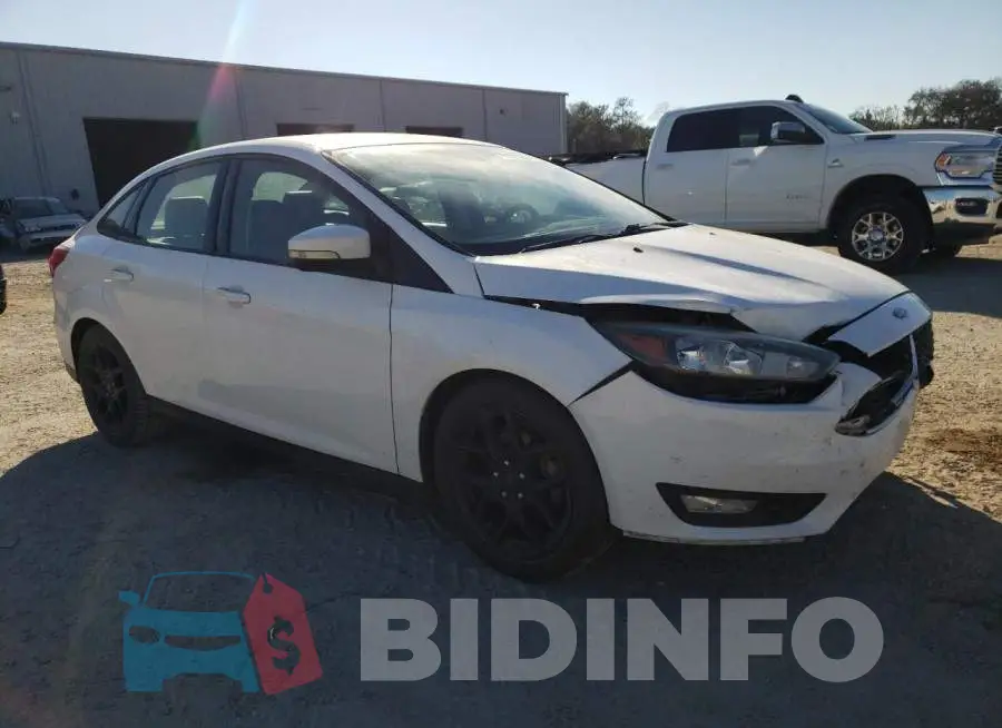 1FADP3F24GL299711 Photo# 4