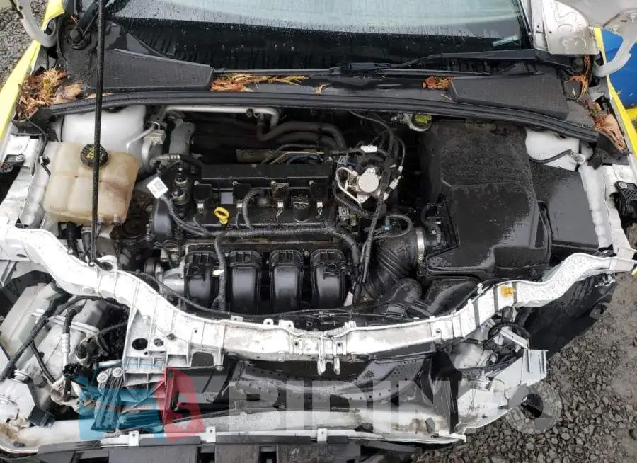 1FADP3F26GL329310 Photo# 7