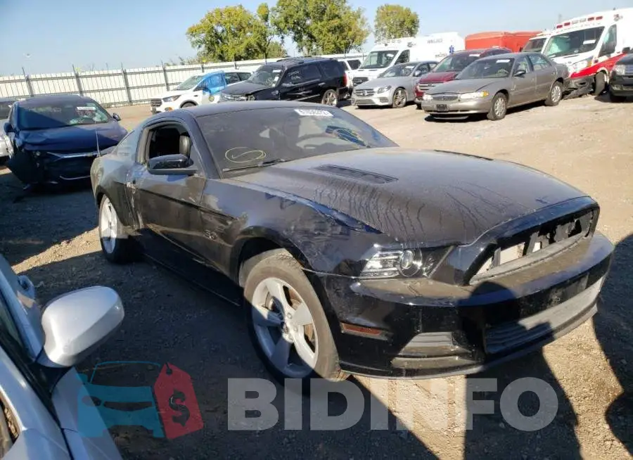 1ZVBP8CF4E5280354 Photo# 1