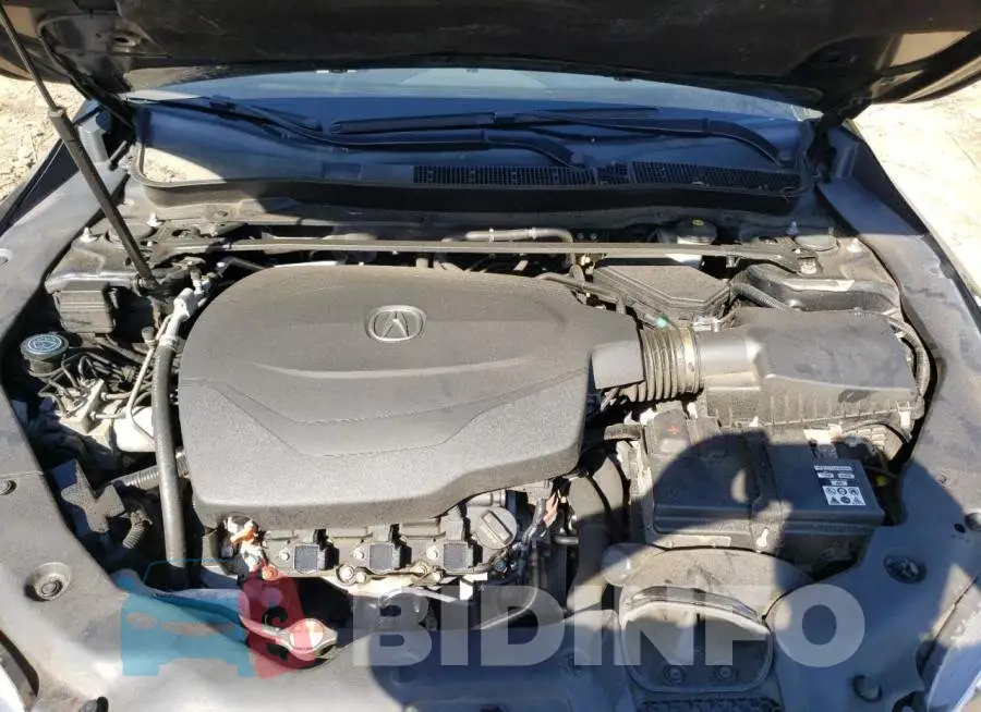 19UUB2F50FA007996 Photo# 7