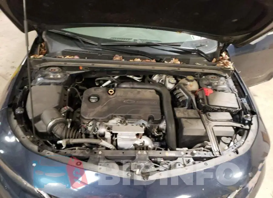 1G1ZB5ST3HF222720 Photo# 11