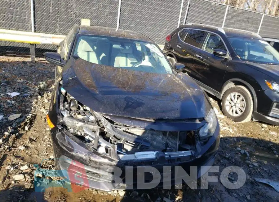 19XFC2F50GE218067 Photo# 5