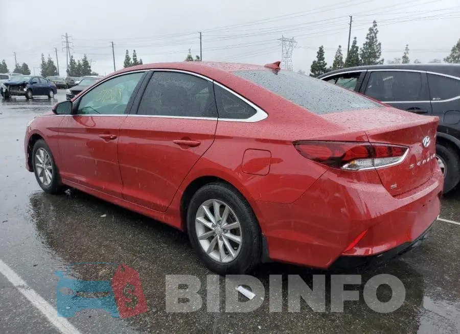 5NPE24AFXKH797261 Photo# 2