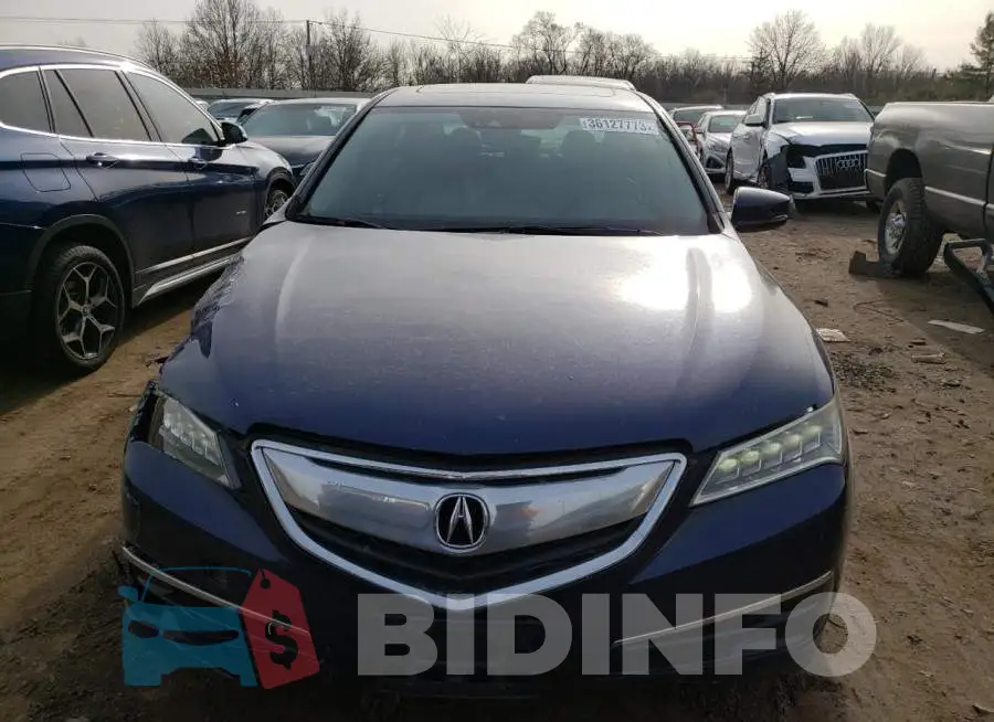 19UUB2F53FA007331 Photo# 5