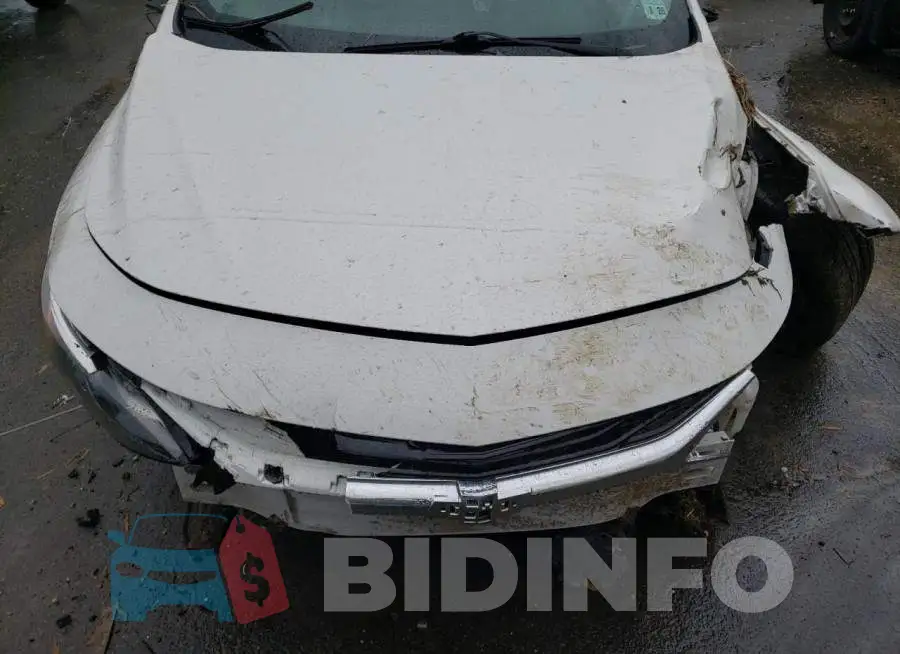 1G1ZG5ST1LF082449 Photo# 11