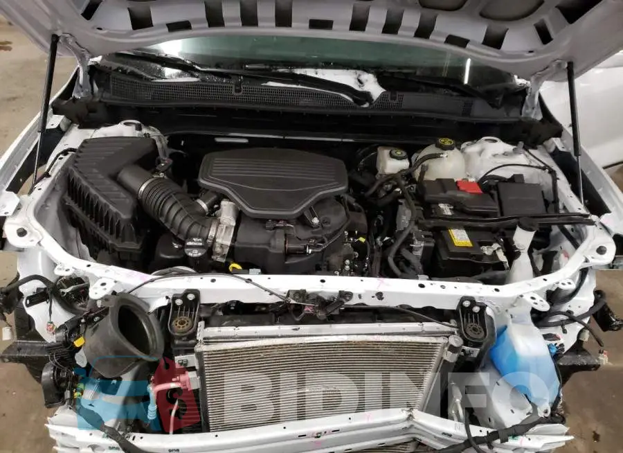 3GNKBLRS6LS601037 Photo# 12