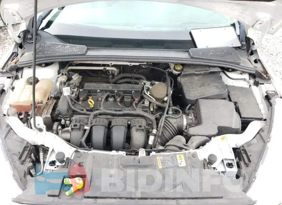 1FADP3F21FL205637 Photo# 7