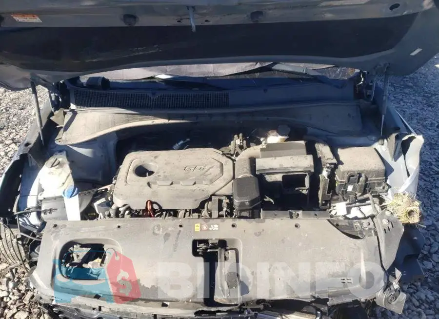 5XYPG4A36LG635491 Photo# 12