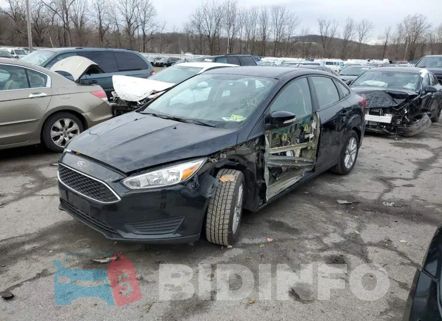 1FADP3F2XGL248505 Photo# 1