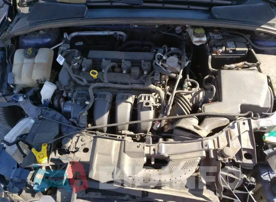 1FADP3M28HL206015 Photo# 7