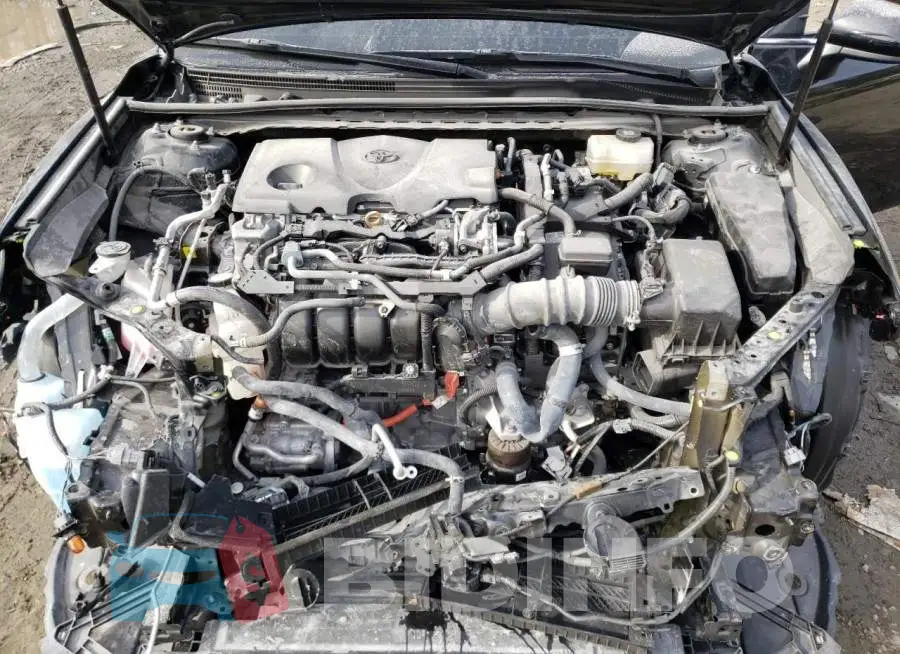 4T1C31AK9LU541101 Photo# 11