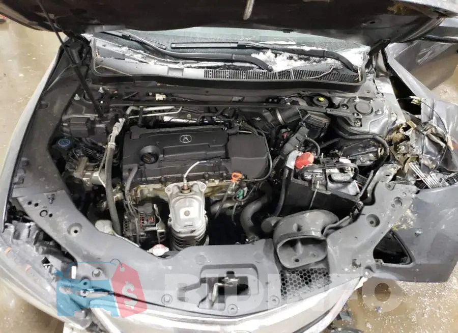 19UUB1F50GA013034 Photo# 11