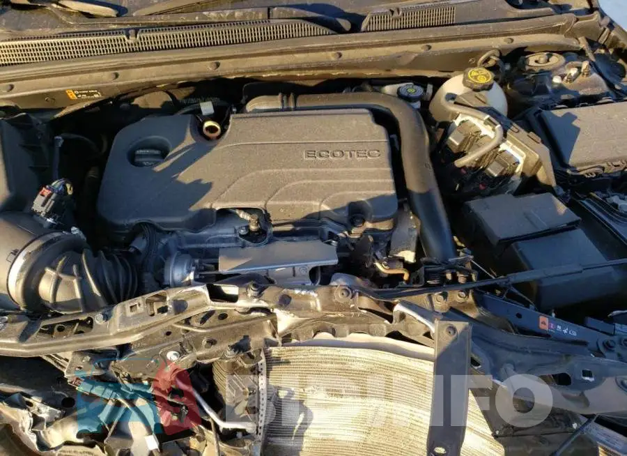 1G1ZD5ST5LF107569 Photo# 11