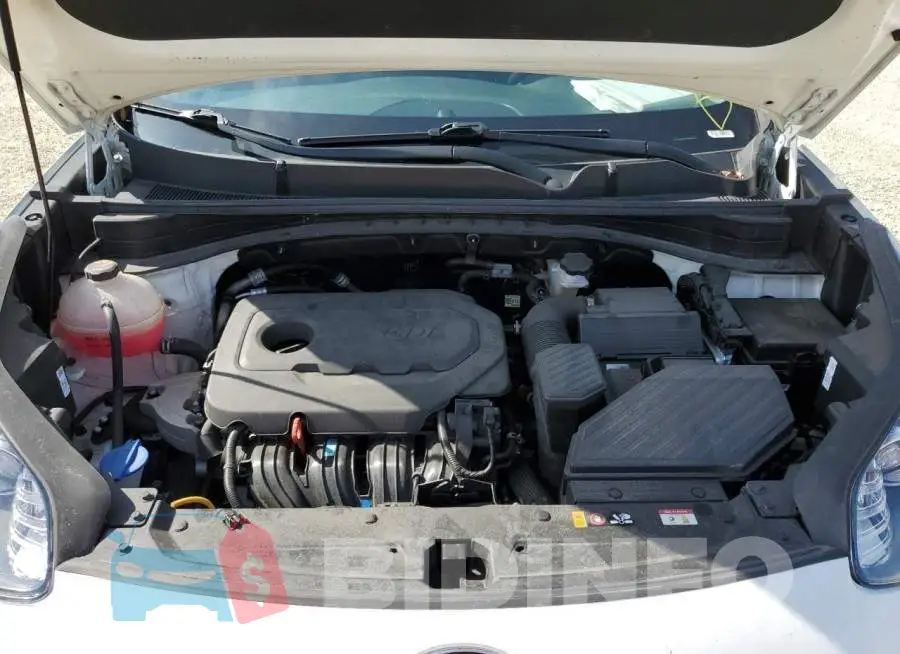 KNDPM3AC3M7927987 Photo# 12