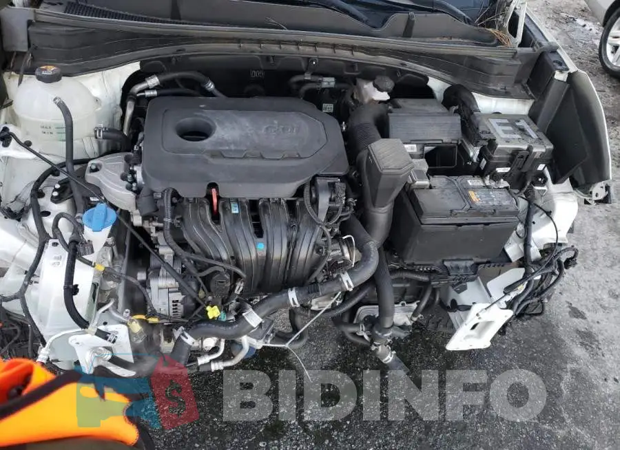 KNDPN3AC5L7805692 Photo# 12