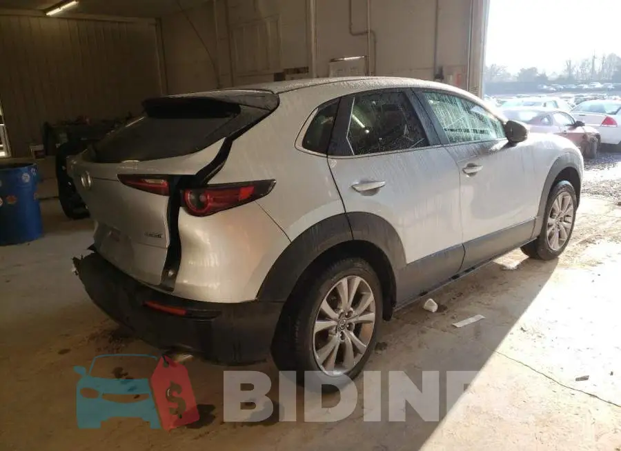 3MVDMBBL3MM231534 Photo# 3