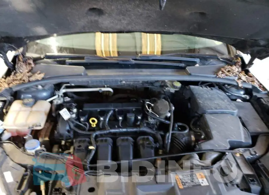 1FADP3F22GL279411 Photo# 11