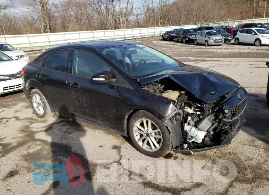 1FADP3F22GL301228 Photo# 4