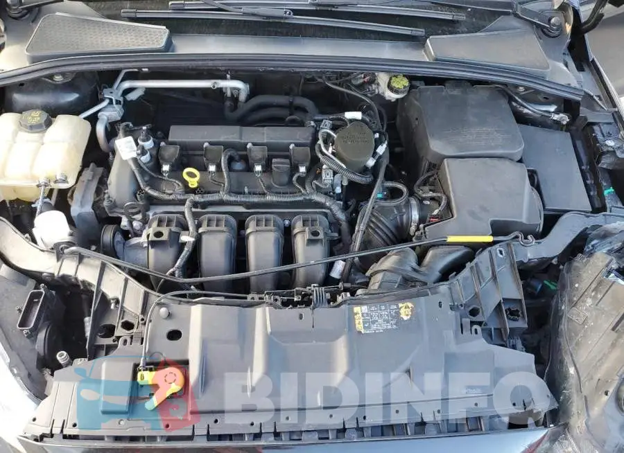 1FADP3F22GL220570 Photo# 11