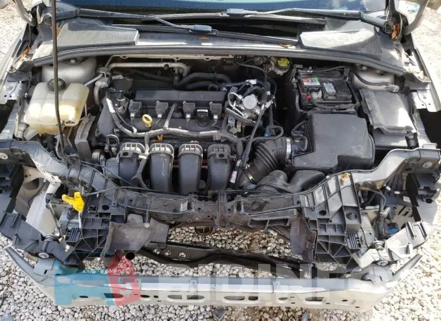 1FADP3F29GL363984 Photo# 11