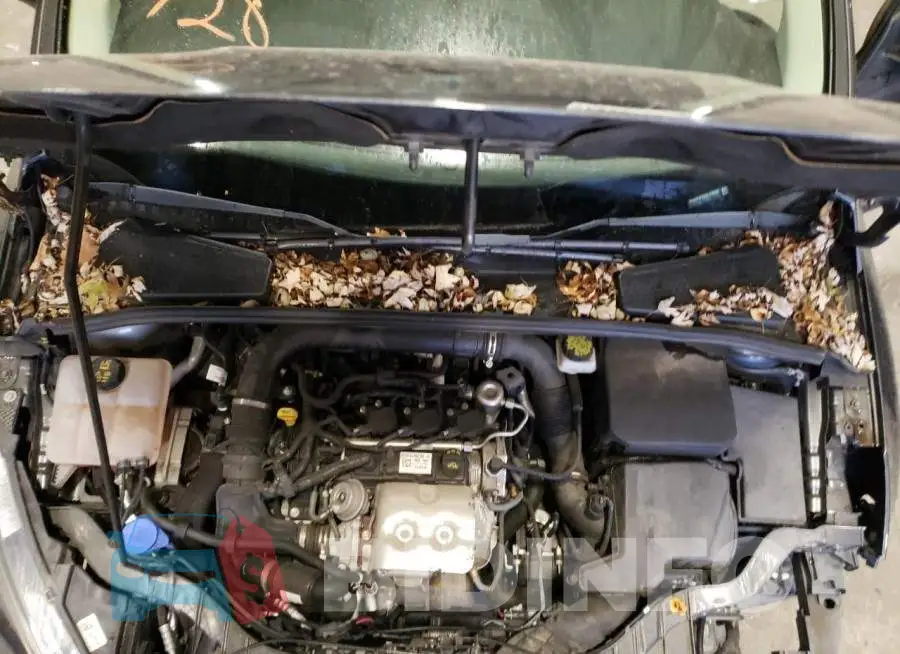 1FADP3FEXHL230050 Photo# 7