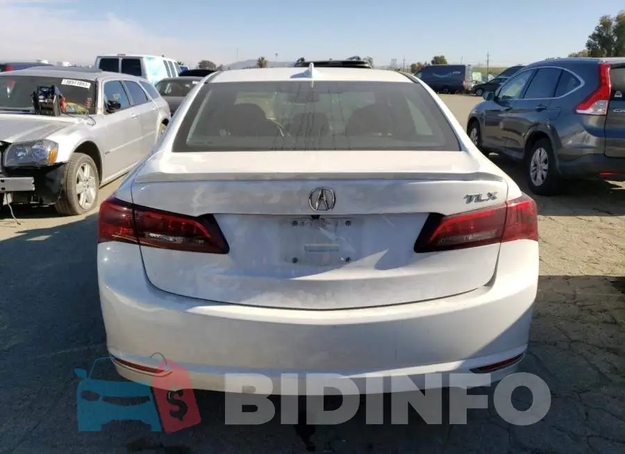 19UUB1F31GA005054 Photo# 6