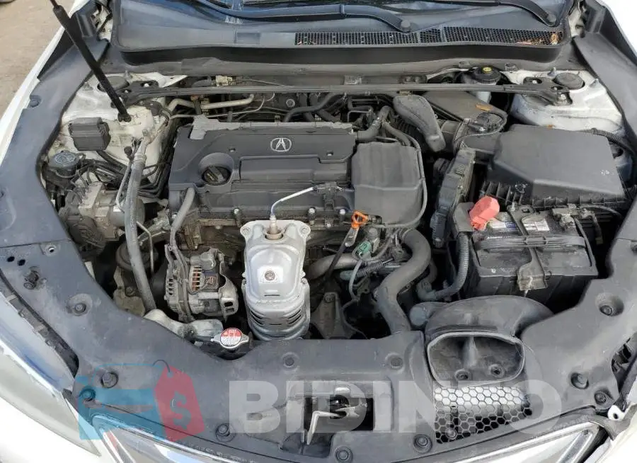 19UUB1F34FA024308 Photo# 11