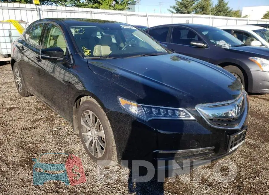 19UUB1F53GA800317 Photo# 1