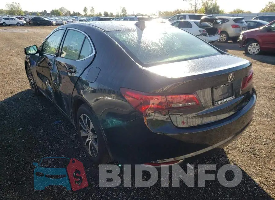 19UUB1F53GA800317 Photo# 3