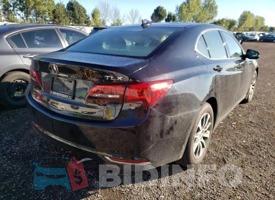 19UUB1F53GA800317 Photo# 4