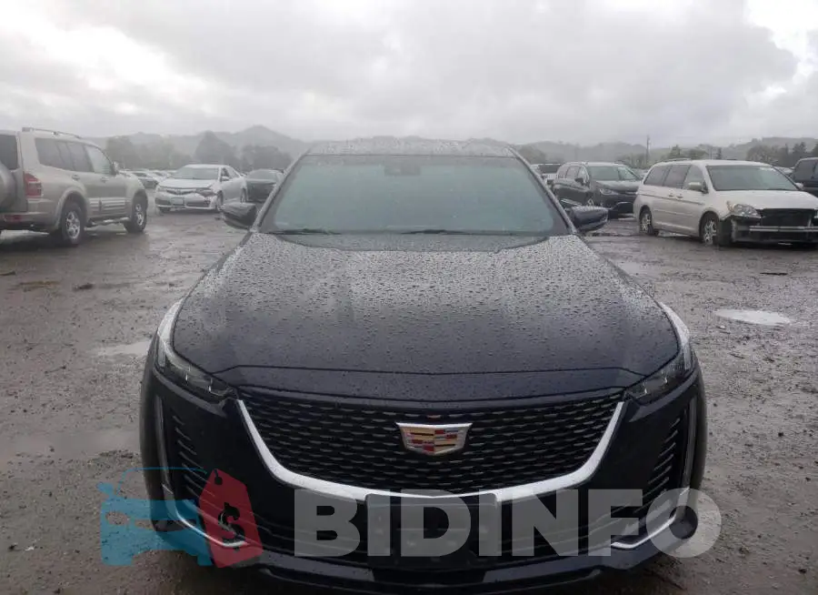 1G6DN5RK6L0130974 Photo# 5