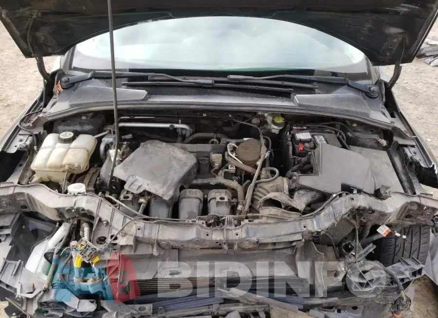 1FADP3F23GL262987 Photo# 11