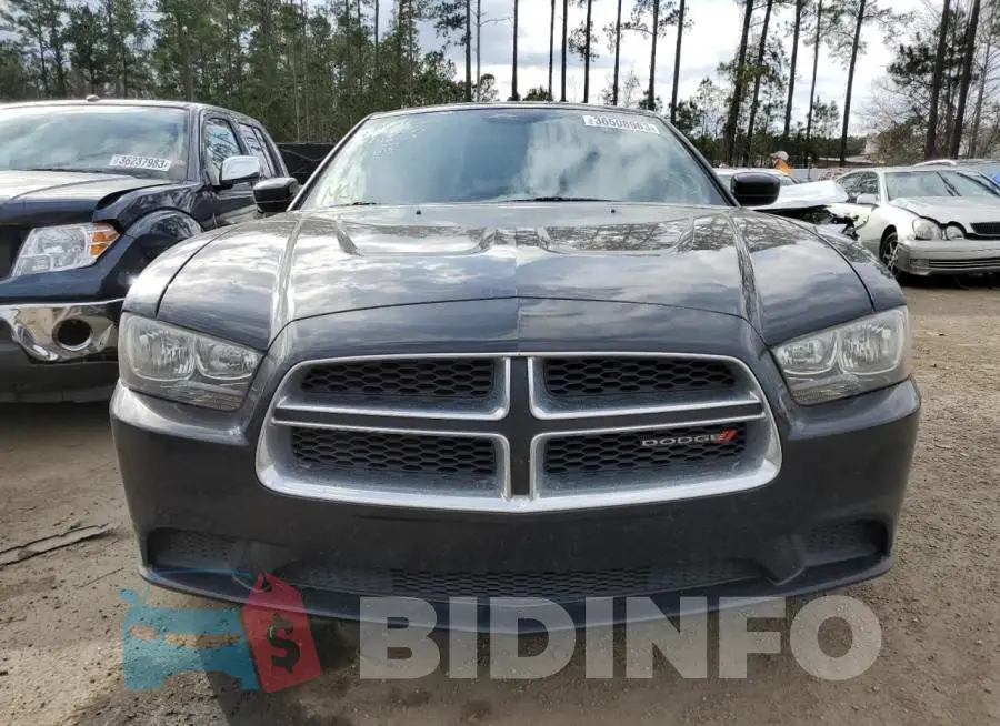 2C3CDXBGXEH362803 Photo# 5