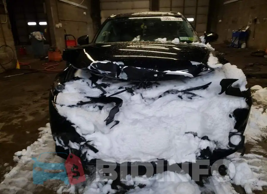 JTHCF1D26F5024343 Photo# 5