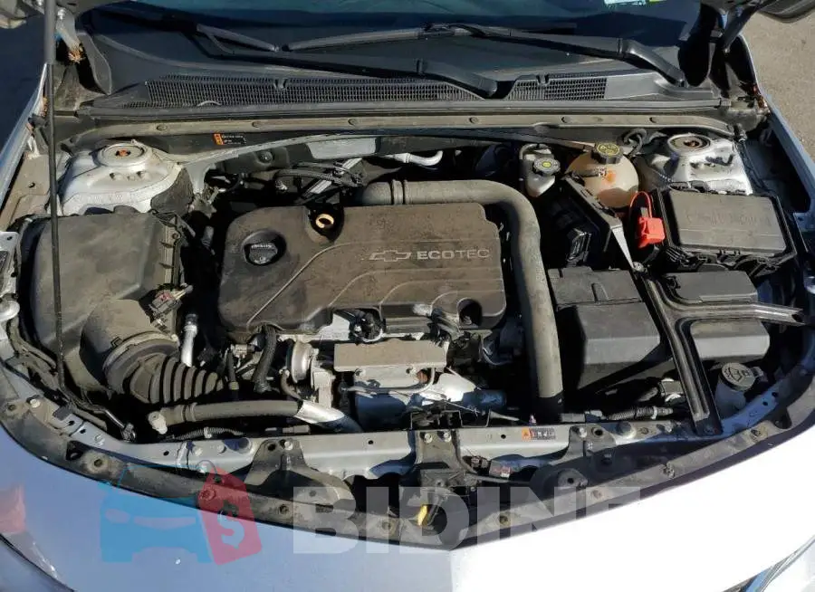 1G1ZB5ST1HF126813 Photo# 11
