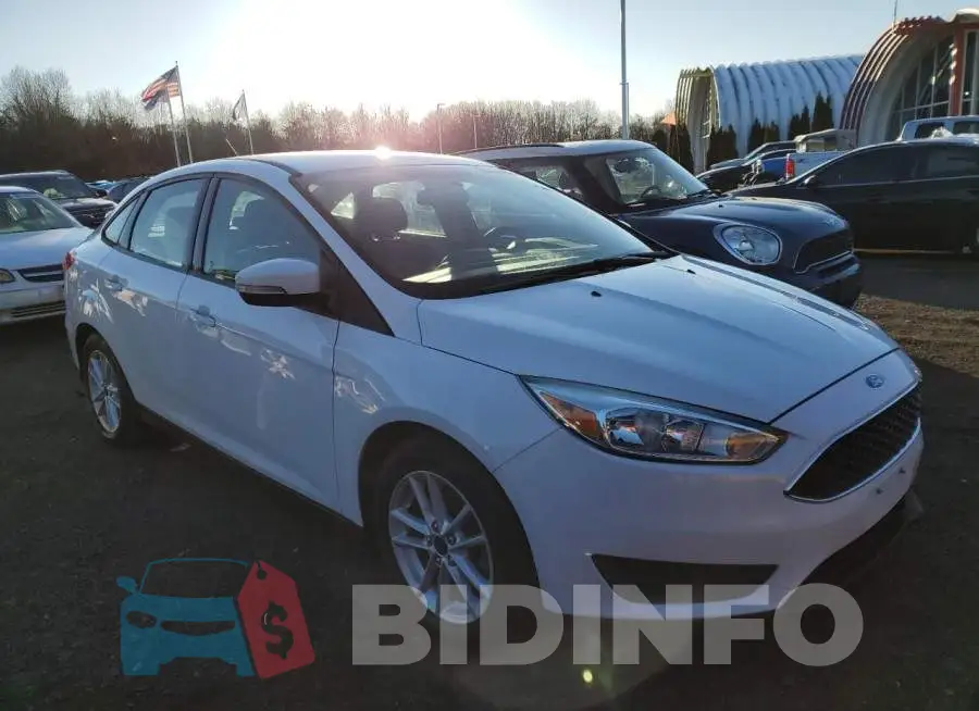 1FADP3FE1HL206980 Photo# 4