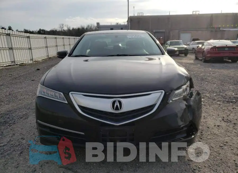 19UUB1F31FA018014 Photo# 5