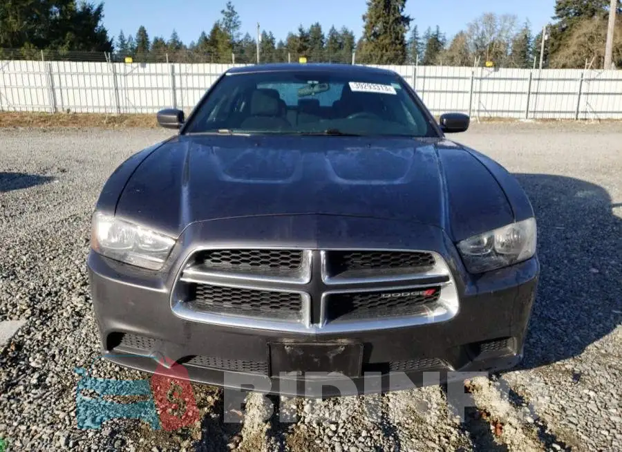 2C3CDXBG3EH114666 Photo# 5