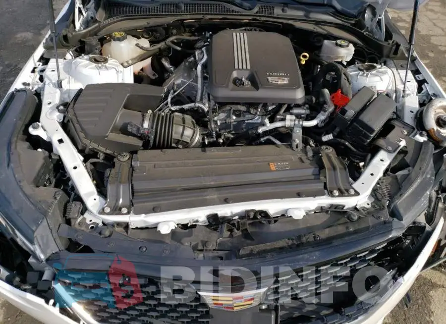 1G6DB5RK5L0156314 Photo# 11