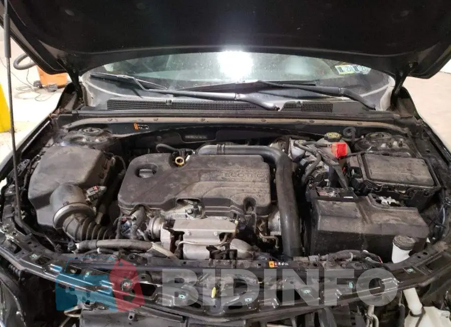 1G1ZB5ST1LF156113 Photo# 11