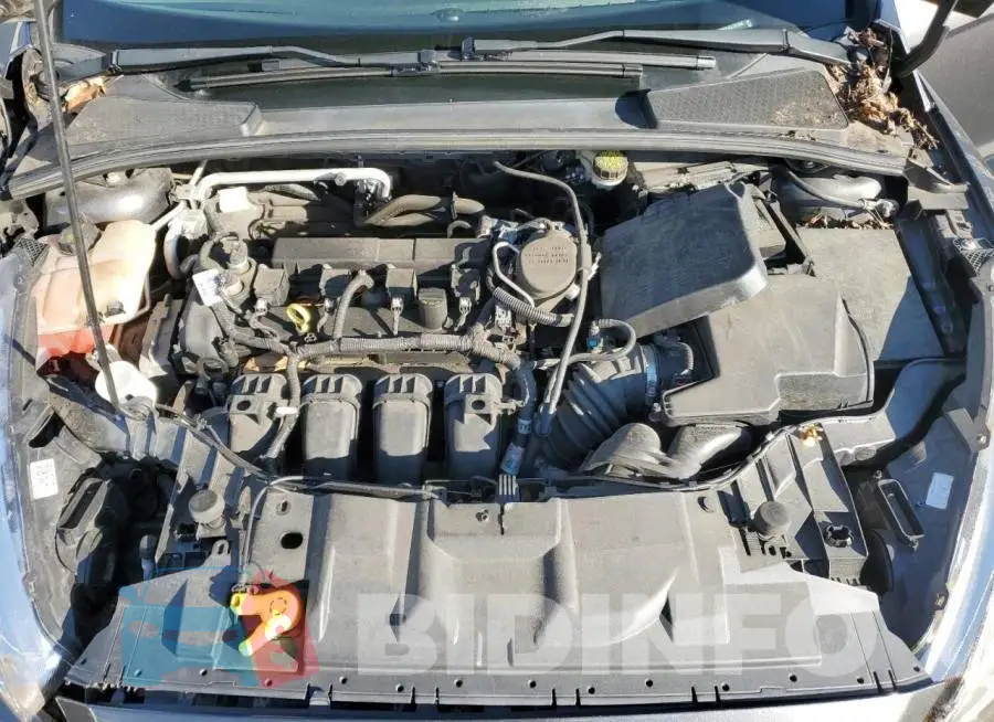 1FADP3F24GL267096 Photo# 7