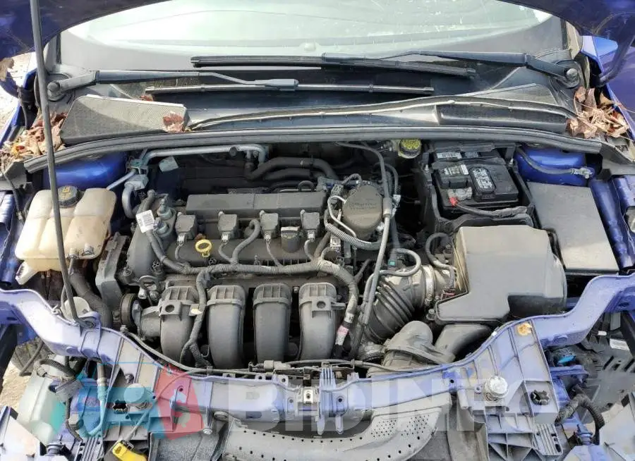 1FADP3K2XFL247911 Photo# 11