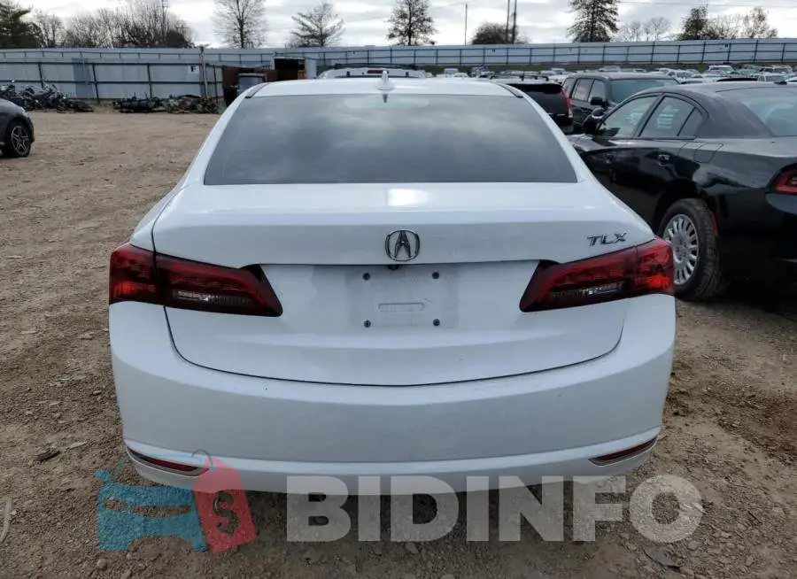 19UUB1F34FA004835 Photo# 6