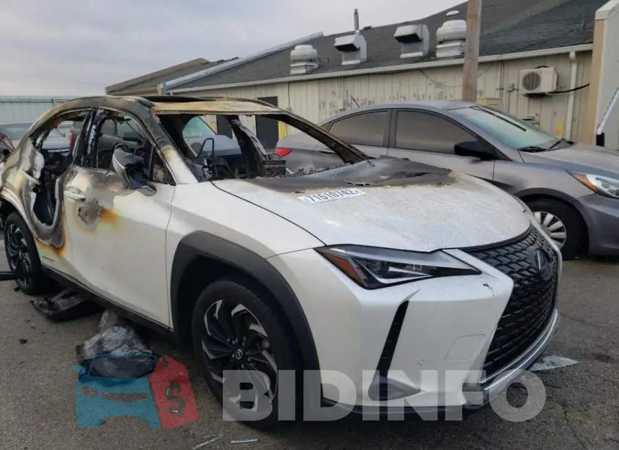 N0V1NLEXUS Photo# 4