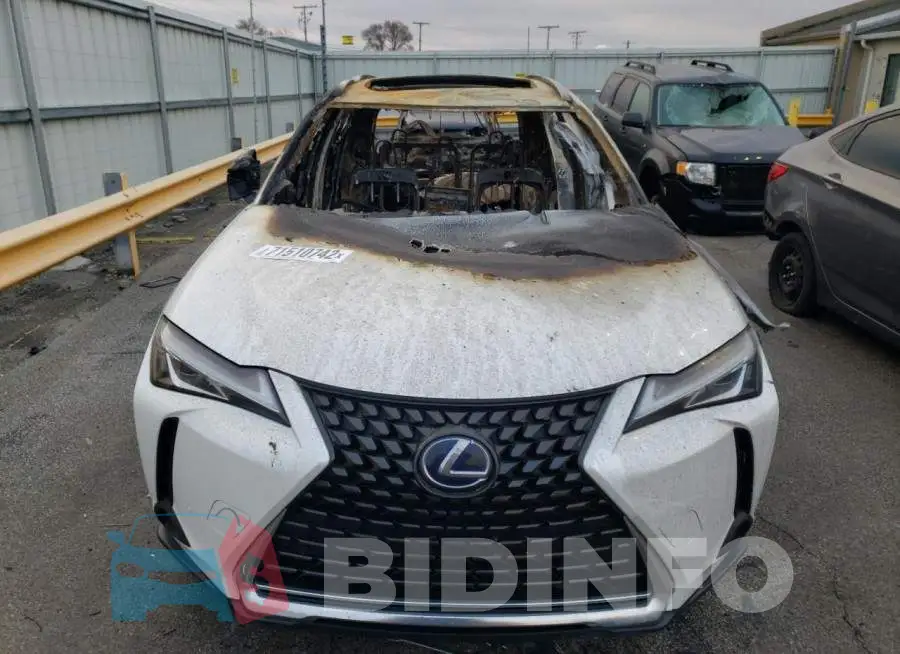 N0V1NLEXUS Photo# 5